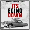 Shine - Its Going Down (feat. Infamous, Finà & Dougie) - Single